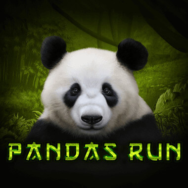 Panda Run