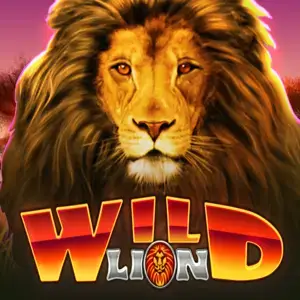 Wild Lion